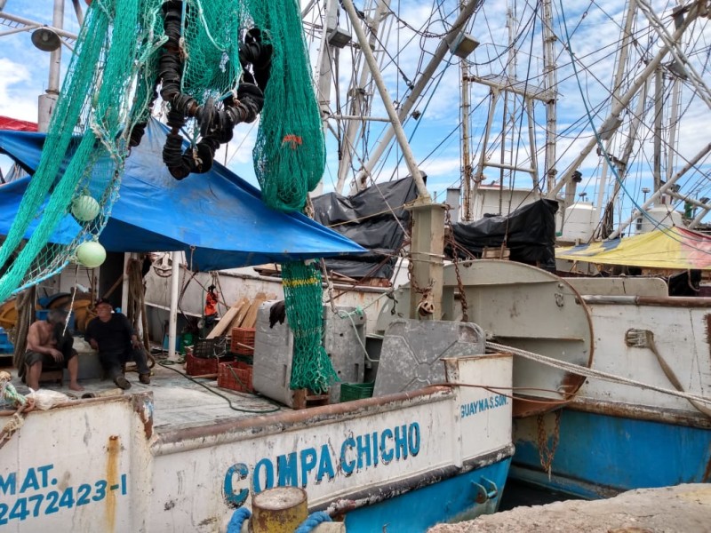 Pesca de altamar y ribereña navega en crisis; flota camaronera se encuentra abandonada