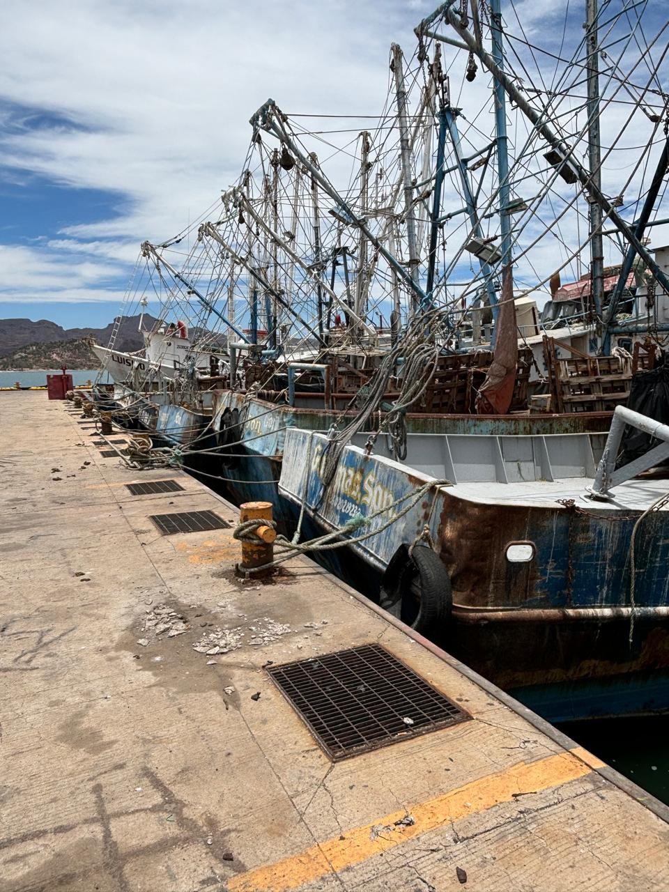 Pesca de altamar y ribereña navega en crisis; flota camaronera se encuentra abandonada