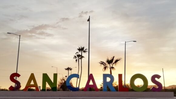 Invertirán 14.5 millones de pesos para pavimentar avenida en San Carlos