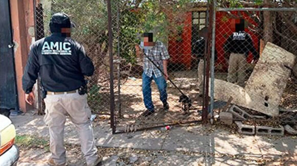 Rescatan a dos perritas en domicilio de Ciudad Obregón; se encontraban en estado de abandono