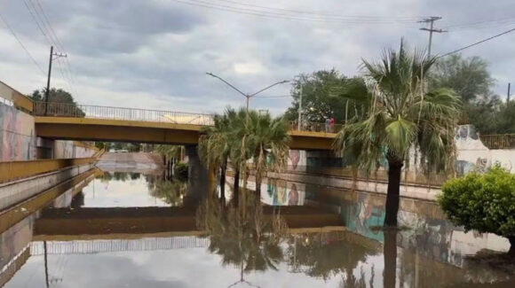 Basura arrojada en la vía pública afecta bomba del paso a desnivel de la calle 200