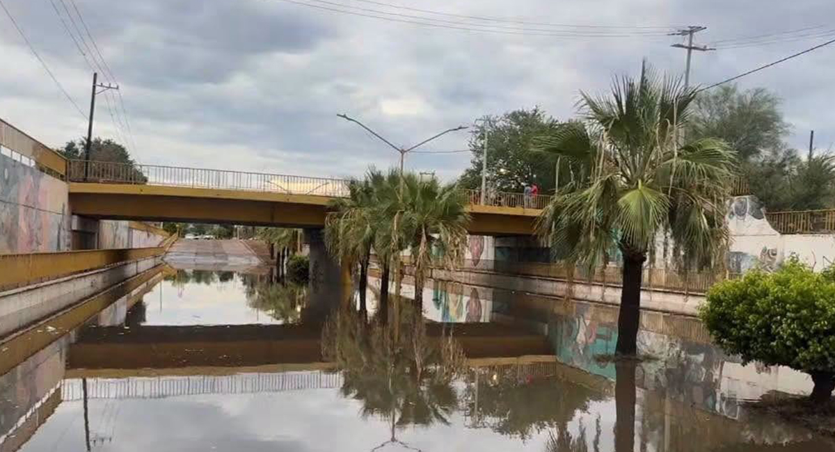 Basura arrojada en la vía pública afecta bomba del paso a desnivel de la calle 200