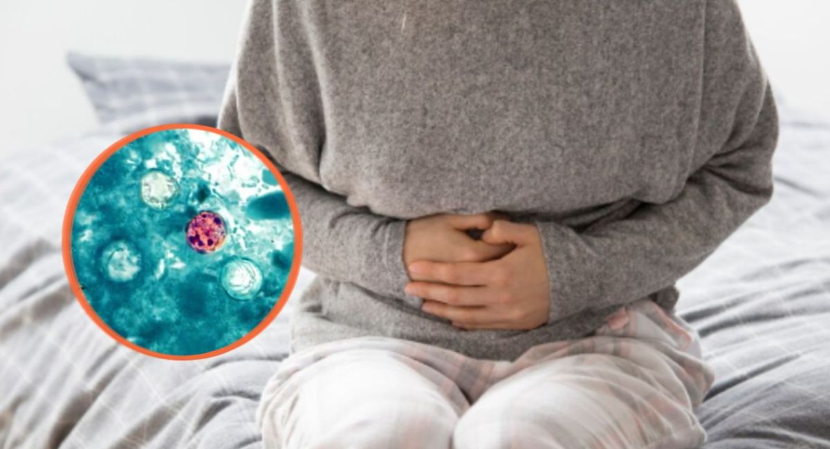 Brote de ciclosporiasis: ¿Qué tan probable es que llegue a México?
