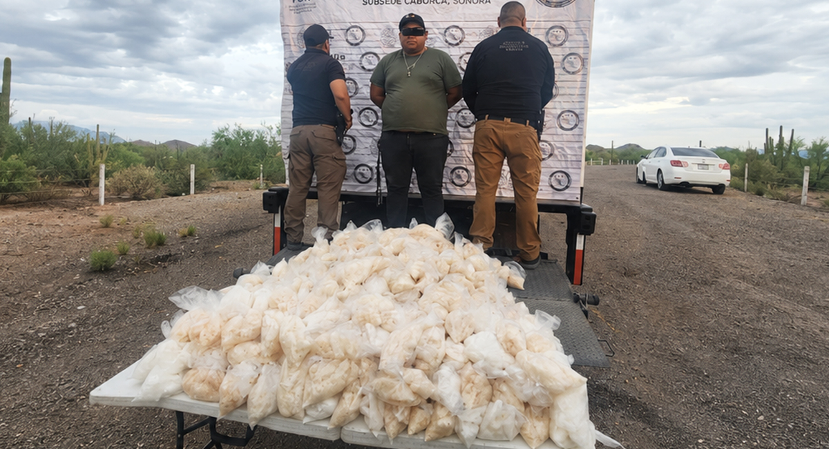 Cae chofer de camión de paquetería con 200 kilos de metanfetamina en carretera Caborca-Sonoyta