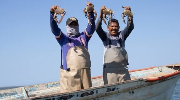Pescadores de Guaymas dejan el mar por bajos números; sobreviven en otras actividades