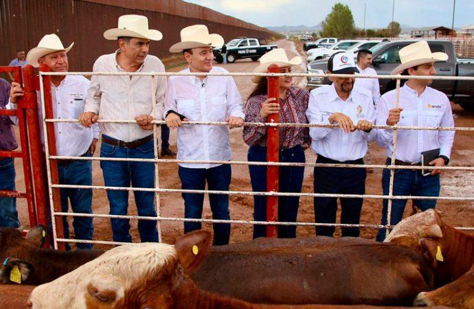 Celida López destaca reapertura ganadera de EU como reconocimiento a la sanidad de Sonora
