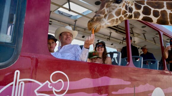 Centro Ecológico de Sonora registra 73 nacimientos de fauna durante 2026