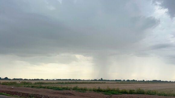 Lluvias generan optimismo entre productores y favorecen al campo, la ganadería y el turismo