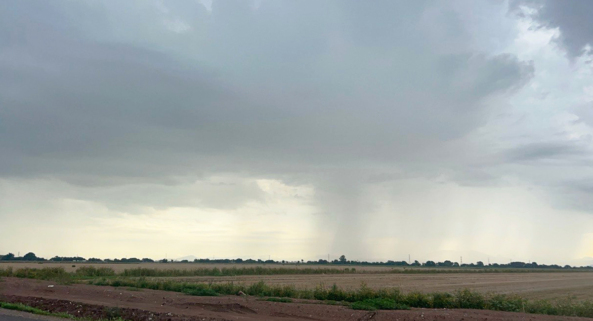 Lluvias generan optimismo entre productores y favorecen al campo, la ganadería y el turismo