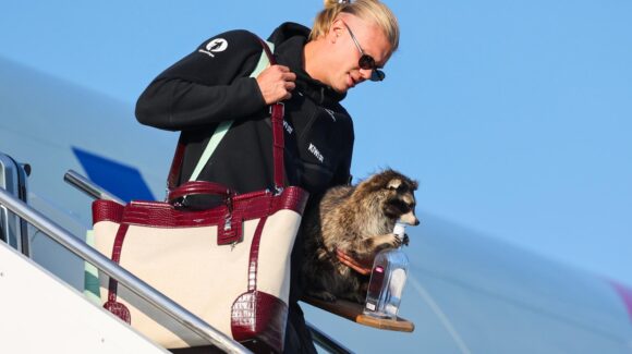 Erling Haaland sorprende al llegar a Noruega con un mapache disecado tras el Mundial 2026