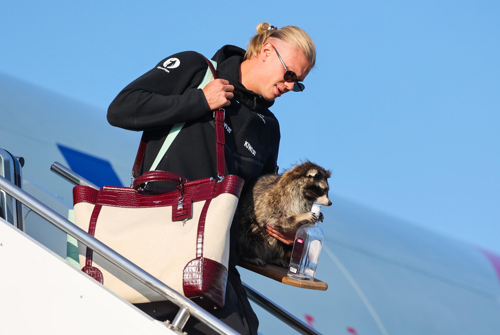 Erling Haaland sorprende al llegar a Noruega con un mapache disecado tras el Mundial 2026