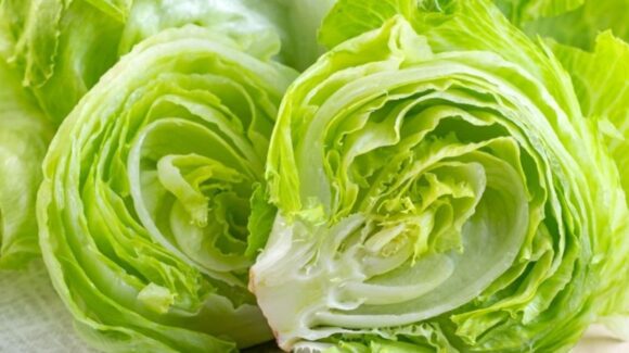 Estados Unidos acusa a proveedor mexicano de lechuga por brote de ciclosporiasis