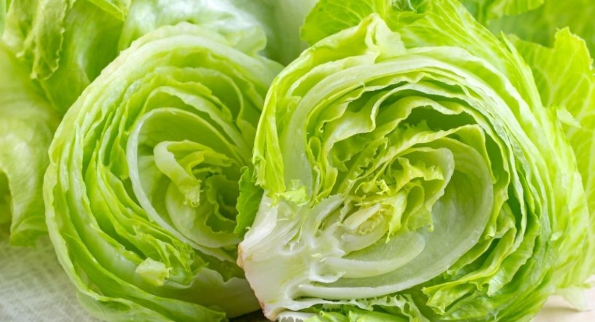 Estados Unidos acusa a proveedor mexicano de lechuga por brote de ciclosporiasis