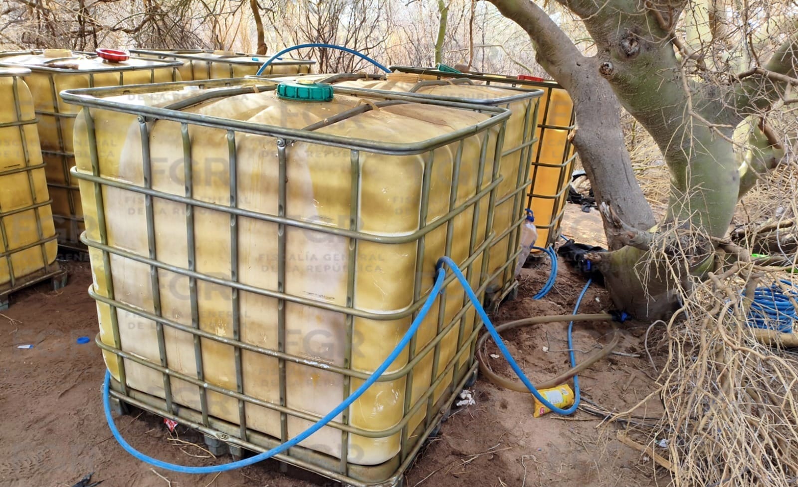 FGR asegura toma clandestina y 3 mil litros de hidrocarburo en Hermosillo Sonora