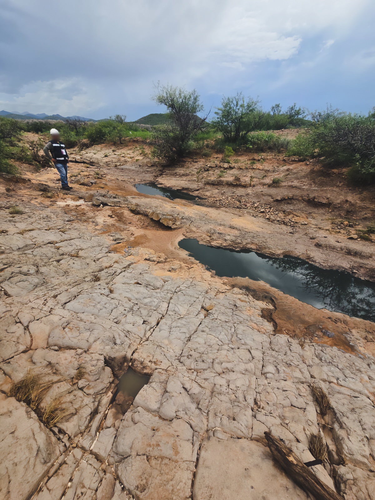 Ferromex deberá reparar daño ambiental tras derrame de químicos en Sonora Semarnat