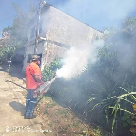 Guaymas sube al segundo lugar en casos de dengue en Sonora