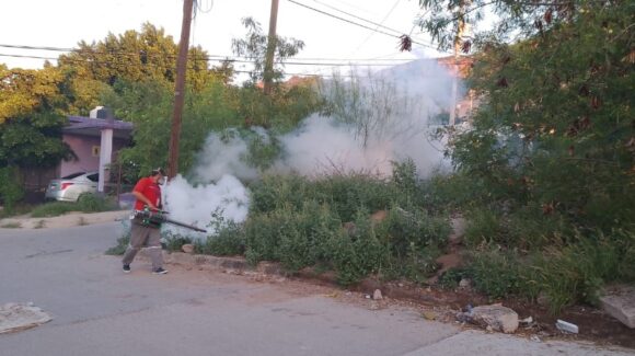 Guaymas sube al segundo lugar en casos de dengue en Sonora