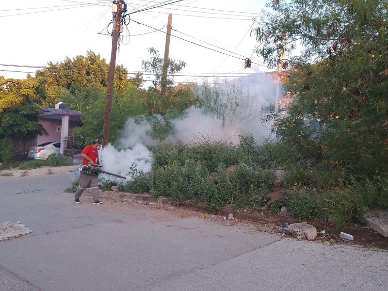 Guaymas sube al segundo lugar en casos de dengue en Sonora