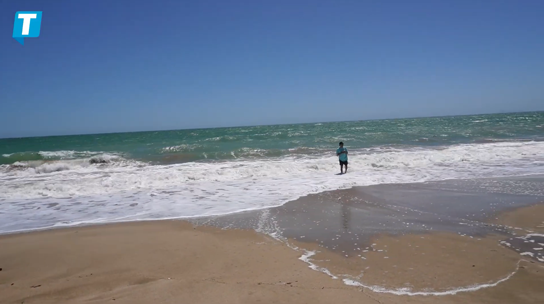 Guía turística de Bahía de Kino Roadtrip playero, mariscos y un muelle renovado