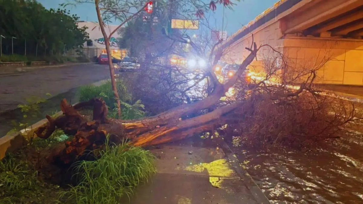 Hermosillo registra la mayor cantidad de incidencias por lluvias del 27 de julio en Sonora