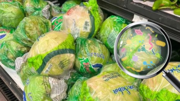 Brote de ‘diarrea explosiva’ supera los cuatro mil casos por lechuga contaminada en Estados Unidos