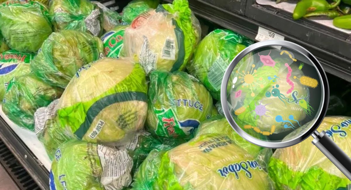 Brote de ‘diarrea explosiva’ supera los cuatro mil casos por lechuga contaminada en Estados Unidos