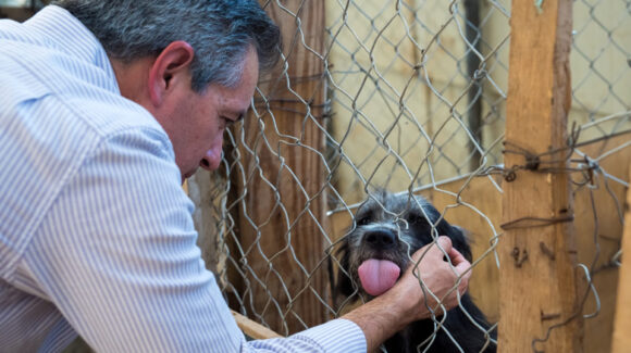 Omar Del Valle apoya a Patitas Unidas con alimento y equipo para perros rescatados en Hermosillo