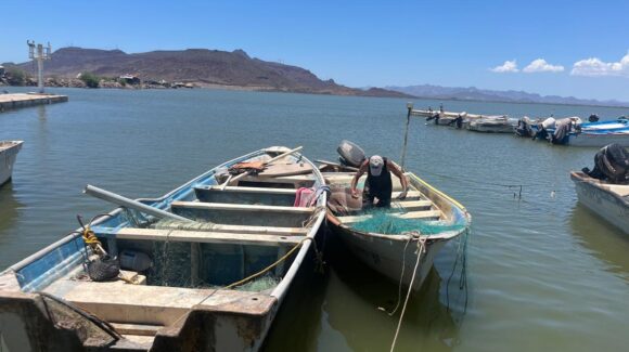 Pesca ribereña enfrenta crisis en Guaymas y Empalme; capturas de jaiba caen a la mitad