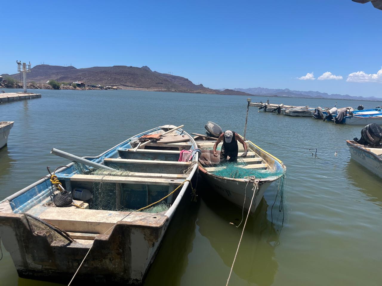 Pesca ribereña enfrenta crisis en Guaymas y Empalme; capturas de jaiba caen a la mitad