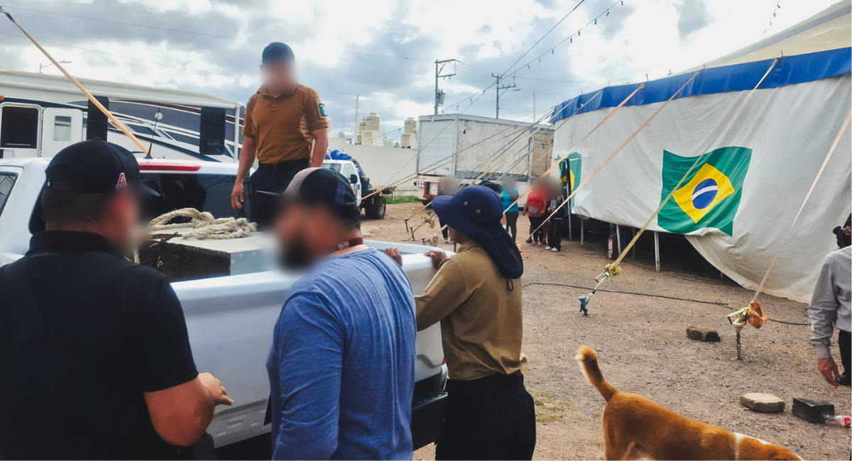 Profepa asegura pitón exhibida ilegalmente en circo de Zacatecas; presenta heridas y deshidratación