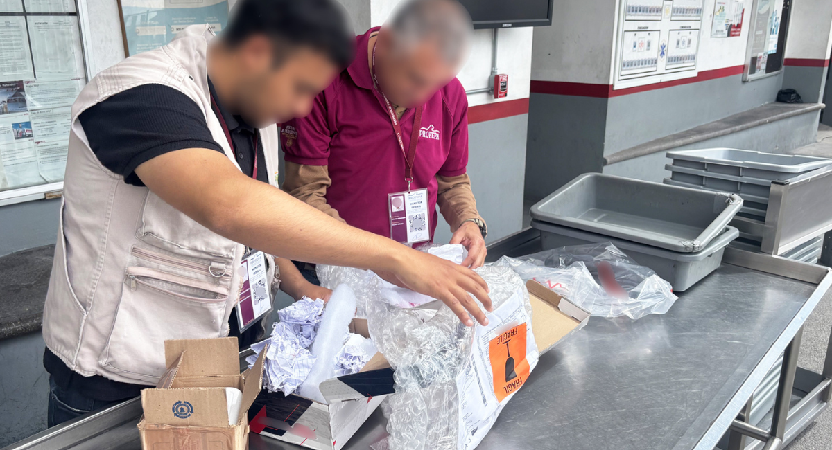 Profepa intercepta 59 ejemplares de vida silvestre traficados ilegalmente por paquetería