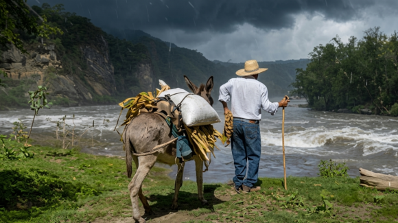Protección Civil alerta por tormentas intensas en el norte de Sonora; activan operativo preventivo