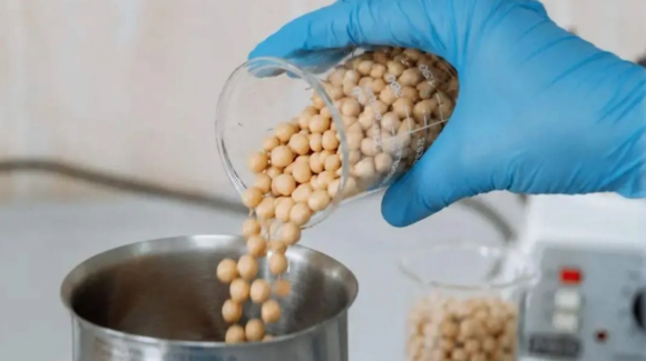 Proteína de garbanzo, una alternativa para controlar la hipertensión según la Unison campus Navojoa