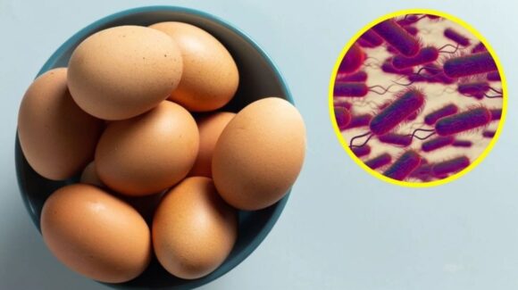Retiran del mercado más de 19 millones de huevos por riesgo de salmonela en Estados Unidos