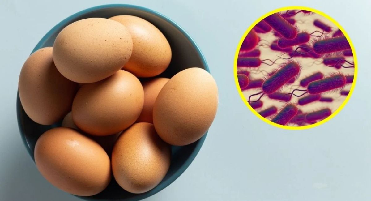 Retiran del mercado más de 19 millones de huevos por riesgo de salmonela en Estados Unidos