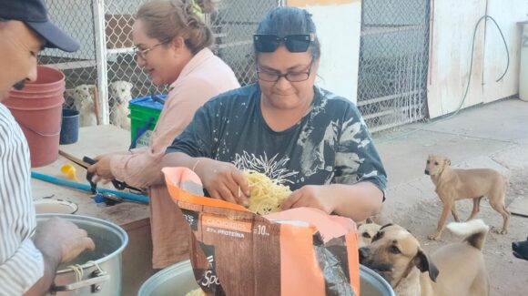 Rocío Orduño: Más de 20 años dedicados al rescate animal en Guaymas y Empalme