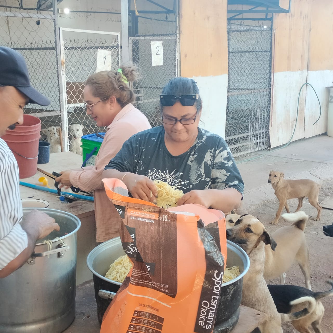 Rocío Orduño Más de 20 años dedicados al rescate animal en Guaymas y Empalme