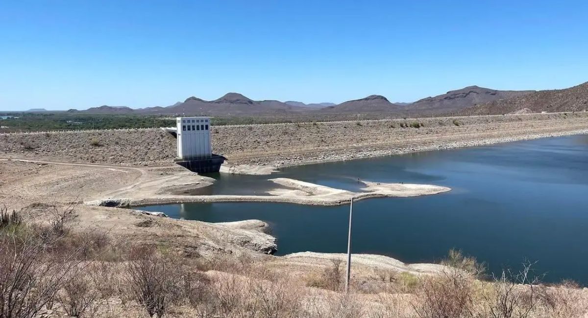 Sagarhpa: Finaliza la veda de tilapia en la presa El Oviáchic; pescadores continuarán actividades este 16 de julio