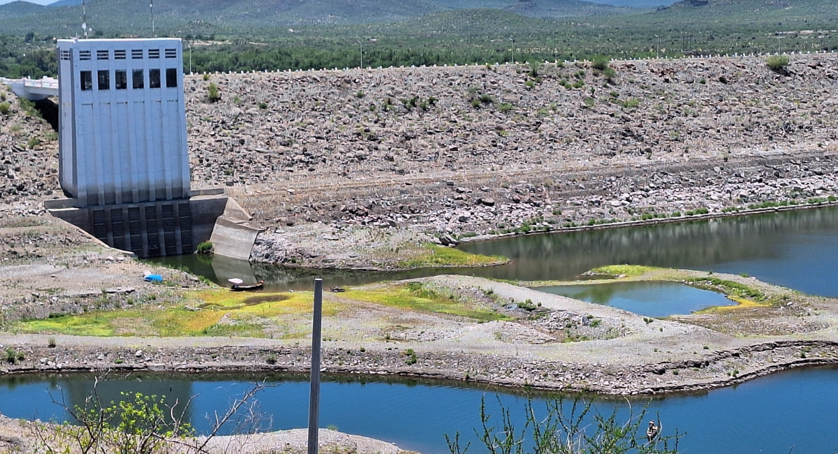 Sagarhpa impulsa repoblamiento de la presa El Oviáchic con 200 mil alevines de tilapia