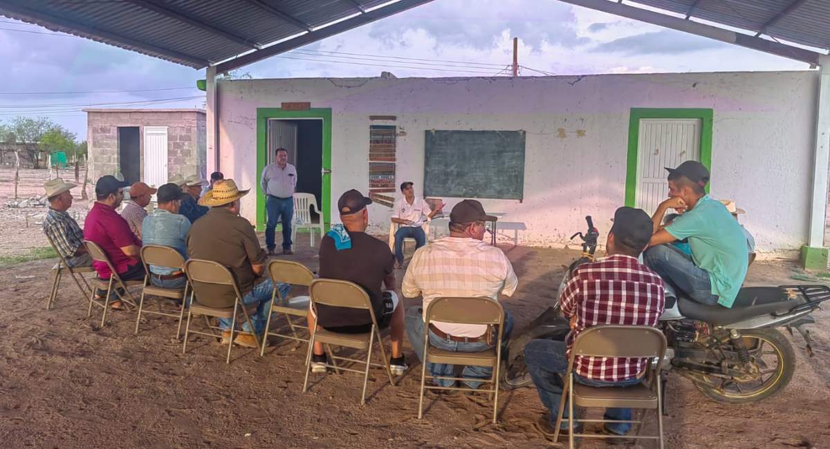 Sagarhpa intensifica acciones de prevención contra gusano barrenador del ganado en Sonora