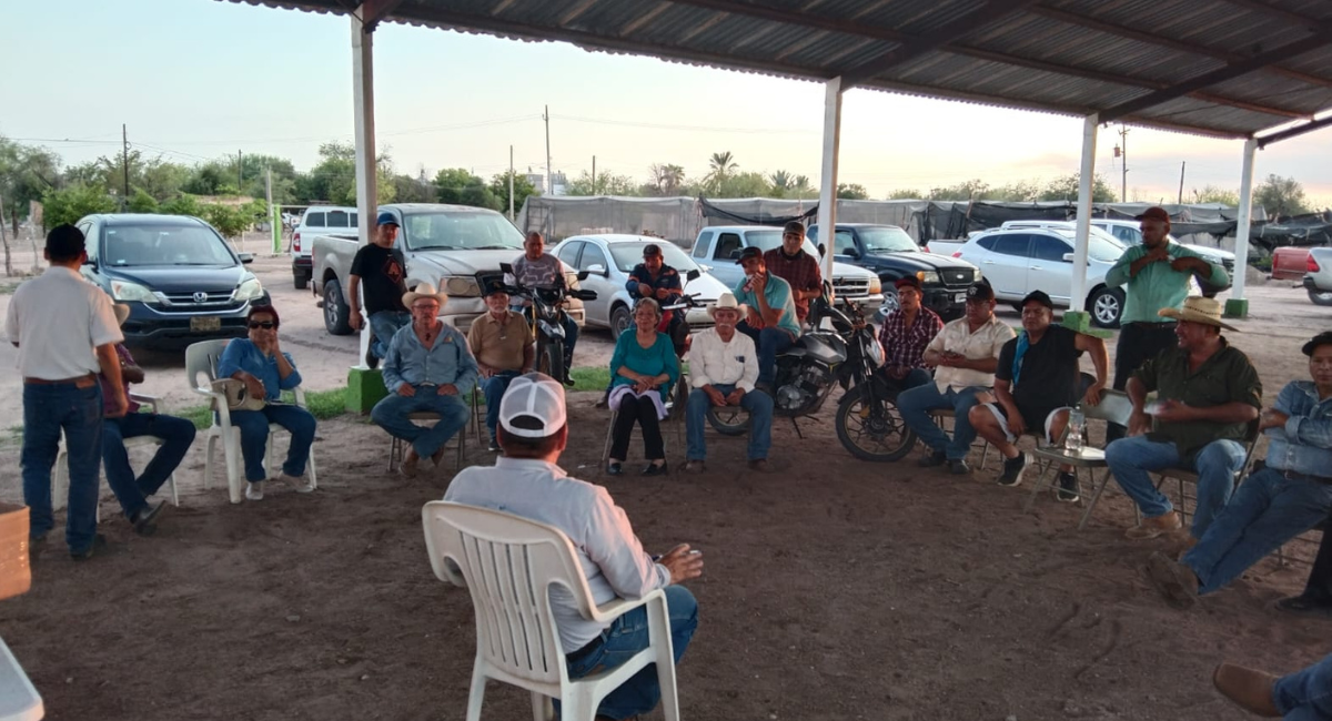 Sagarhpa intensifica acciones de prevención contra gusano barrenador del ganado en Sonora