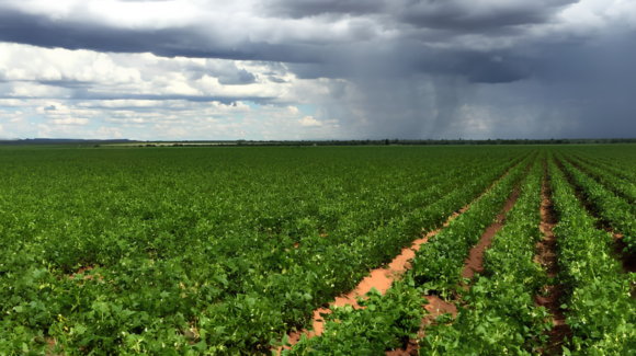 Sagarhpa reporta lluvias de hasta 38.2 milímetros en municipios del Río Sonora