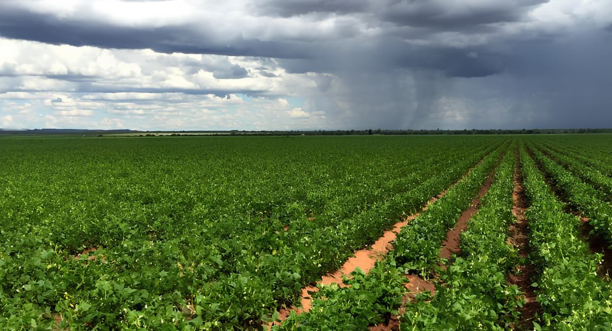 Sagarhpa reporta lluvias de hasta 38.2 milímetros en municipios del Río Sonora