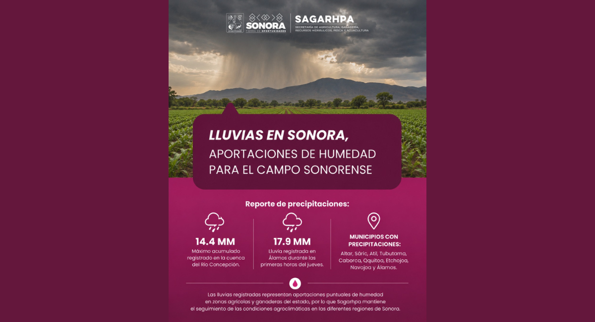 Sagarhpa reporta precipitaciones en la cuenca del Río Concepción y zonas del sur de Sonora