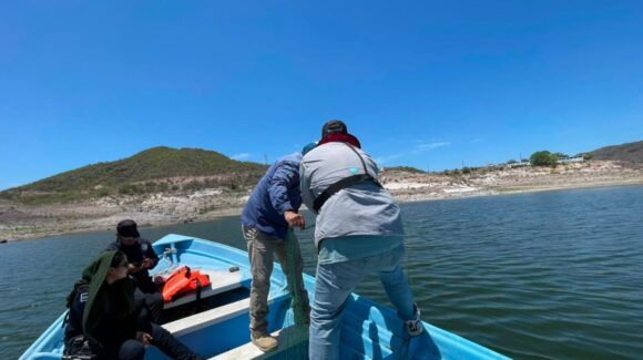 Sagarhpa retira artes de pesca durante operativo de inspección y vigilancia en ‘El Oviáchic’