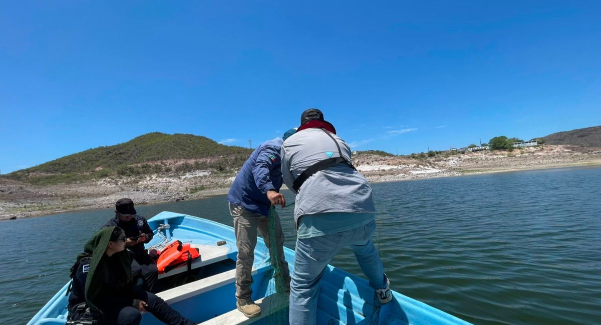 Sagarhpa retira artes de pesca durante operativo de inspección y vigilancia en 'El Oviáchic'