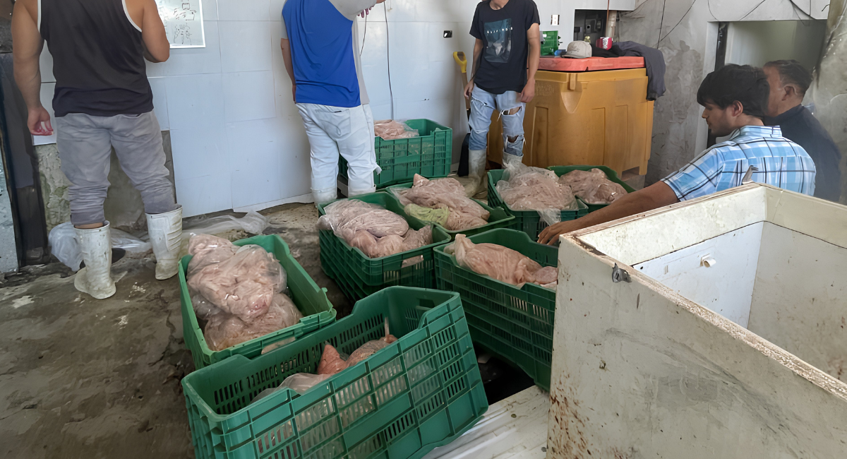Sagarhpa y Conapesca decomisan 395 kilos de tilapia ilegal mediante operativo en El Oviáchic  