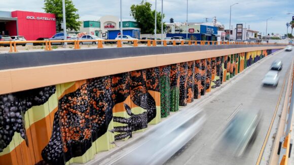 Sangre del Desierto concluye mural artístico en el paso a desnivel de Colosio y Solidaridad en Hermosillo
