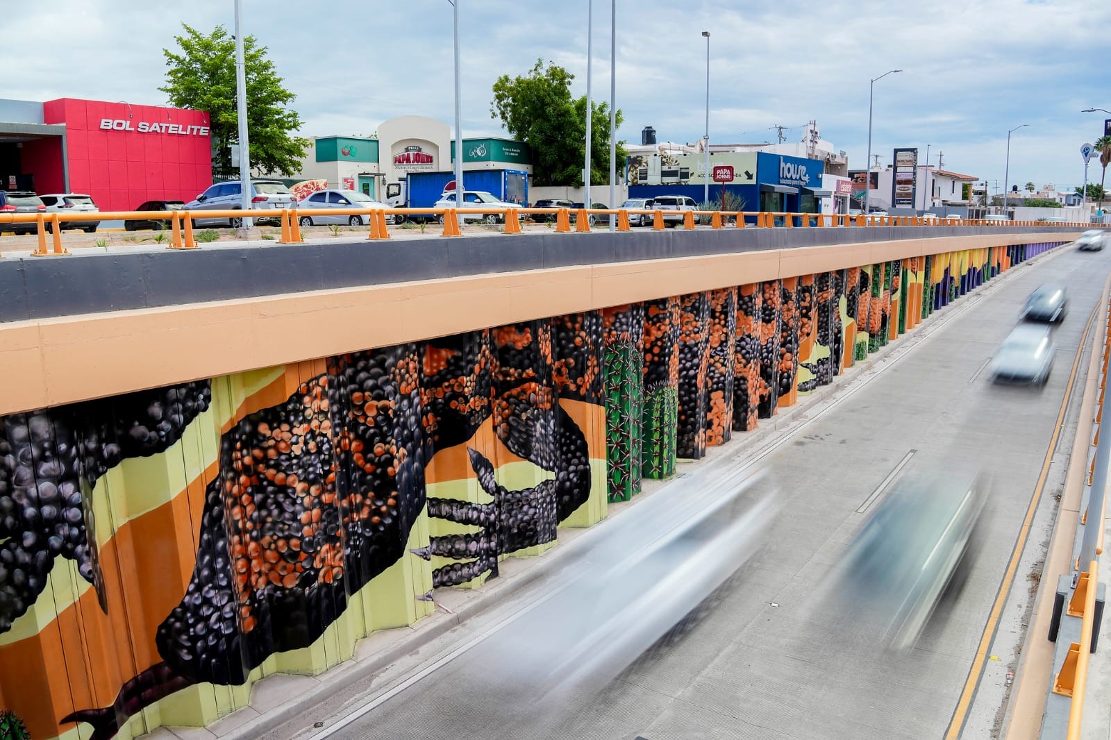 Sangre del Desierto concluye mural artístico en el paso a desnivel de Colosio y Solidaridad en Hermosillo