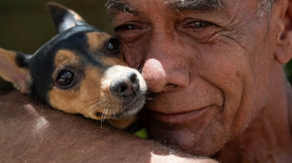 ‘Sarita’ la perrita rescatada entre los escombros en Venezuela por la Sedena
